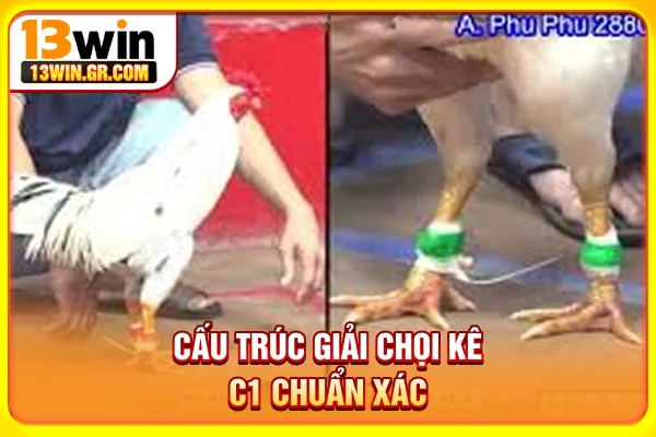 Trực Tiếp Đá Gà C1 - Chiến Trường Kịch Tính Tại Đông Nam Á Cấu trúc giải chọi kê C1 chuẩn xác