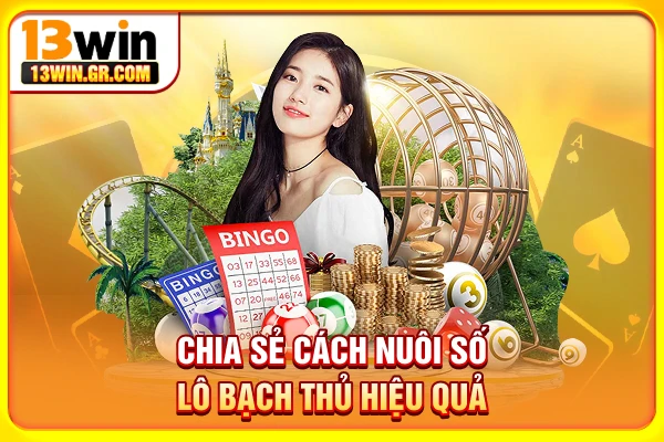 Nuôi Lô Bạch Thủ - Chia Sẻ Cách Chơi Và Điều Cần Lưu Ý Chia sẻ cách nuôi số lô bạch thủ hiệu quả