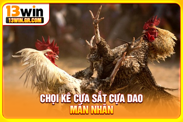 Đá Gà 13WIN - Cá Cược Trực Tuyến Minh Bạch An Toàn Chọi kê cựa sắt cựa dao mãn nhãn