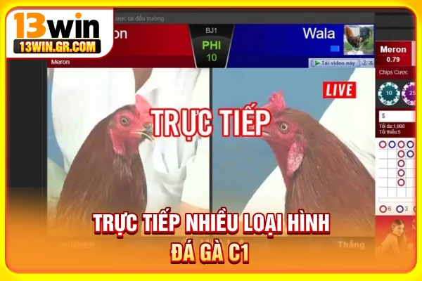 Trực Tiếp Đá Gà C1 - Chiến Trường Kịch Tính Tại Đông Nam Á Trực tiếp nhiều loại hình đá gà C1